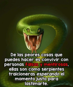 thumb_de-las-peores-cosas-que-puedes-hacer-es-convivir-corn-47271501.png