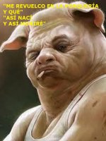 cerdo1.jpg