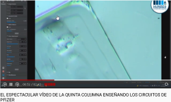 1641416272086.png