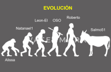 Evolución.png