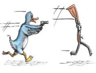 pato disparando a la  escopeta.jpg