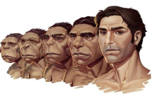 1649424341813.png