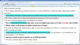 segunda   venida.jpg
