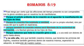 ROMANOS 8.19.jpg ROMANOS 8.19.jpg