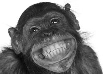 sonrisa.jpg