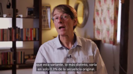 1653463310262.png