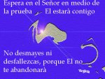 No desmayes copia.jpg