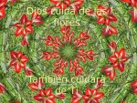 Dios cuida de las flores, tambièn cuidarà de tì...JPG