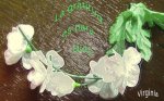 La gratitud es para Dios-.JPG