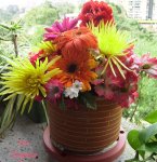 flores en mi ventana..jpg