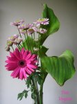 flor2..jpg