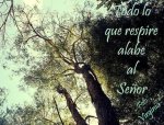 Todo que respire alabe al -.JPG