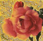 Rosa14-.jpg