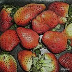 fresas bordes añadidos copia.jpg