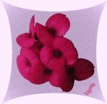 florecitas 9-copia.jpg