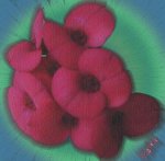 florecitas12-copia.jpg