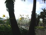 al fondo Plaza de la Luz.JPG