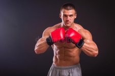 boxeador-54493936.jpg