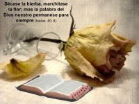 cita biblica .jpg