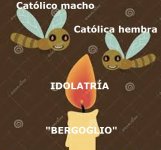 polilla.jpg
