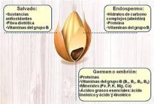 images (2).jpeg