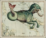 Johannes_Hevelius_-_Cetus.jpg