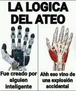 FB_IMG_1664881131327.jpg