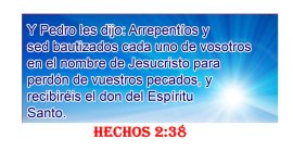 RESTAURACION.jpg