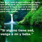 agua de vida.jpg