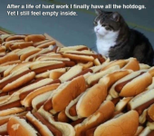 1668839549117.png