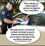 1671106438941.png