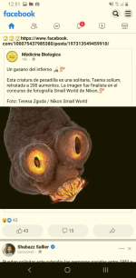 1671511573453.png