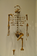 1671978761580.png