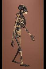1671978803715.png