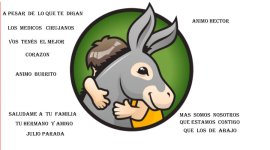 burro.jpg