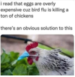 1674365346339.png