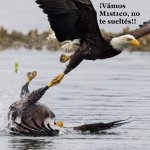 ayuda.jpg