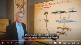 dawkins.png