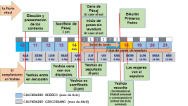 Imagen 5.png