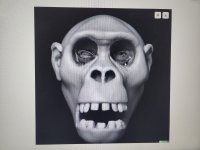 dmanisi chimp (1).jpg