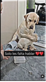 Sin título.png
