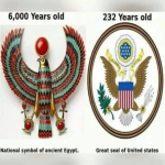 1689529454867.png