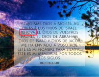 1689904768096.png