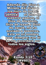 1689905006539.png