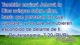 1690760426332.png