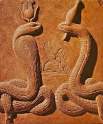 1691110832287.png