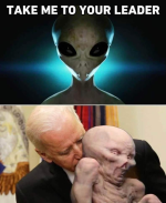 1691157546399.png