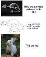 1691695349205.png
