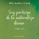 1692051374264.png