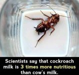 FB_IMG_1698081072794.jpg